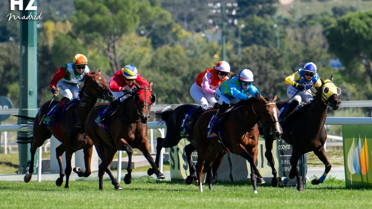 Carreras de caballos en el hipódromo de la zarzuela: un plan emocionante para disfrutar en familia