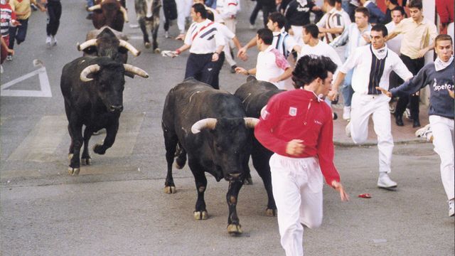 San Sebastián de los Reyes calienta motores para sus fiestas patronales de 2026