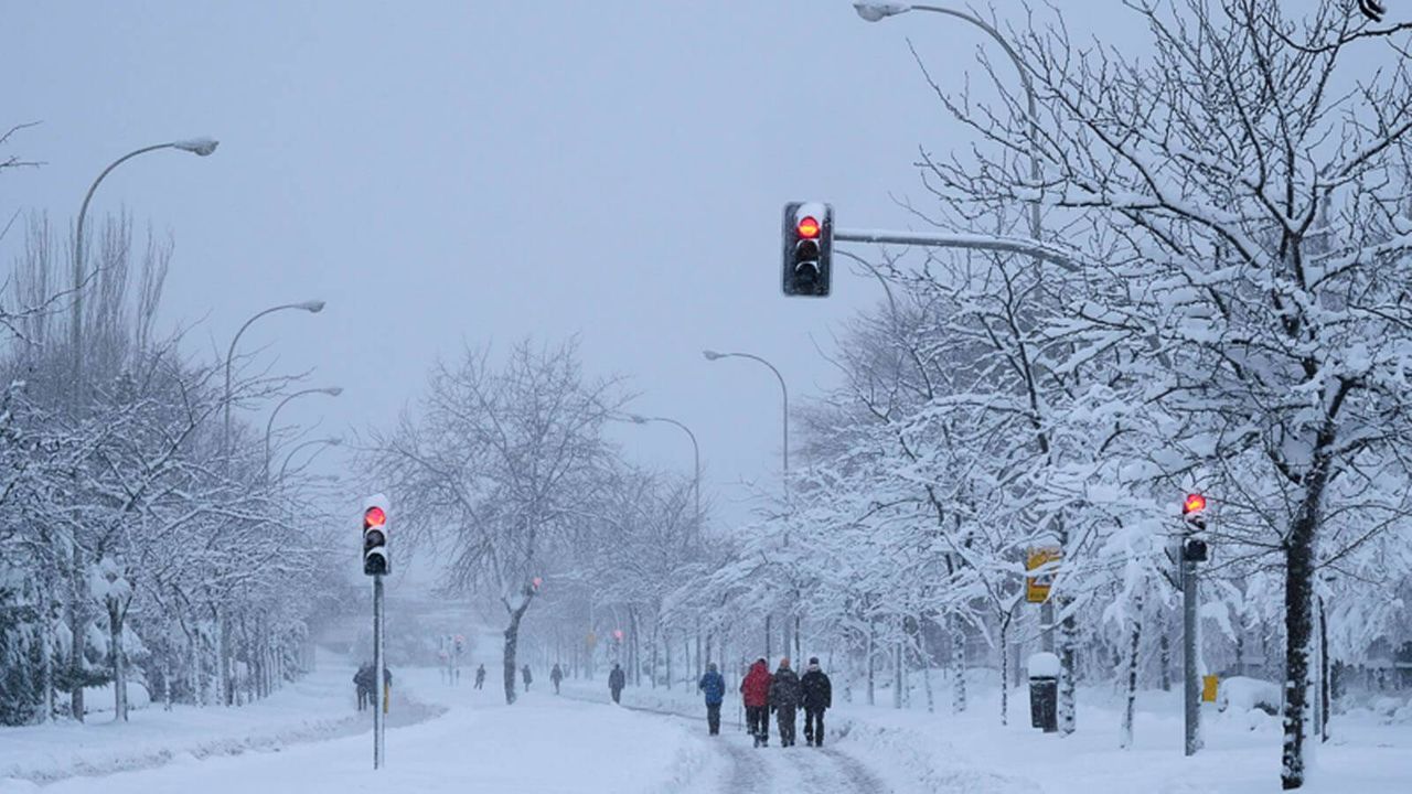 Año de nieve, bienes a montones…