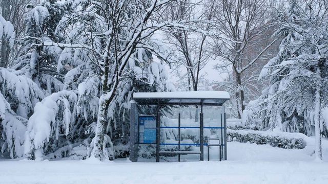 Blanca nueva normalidad