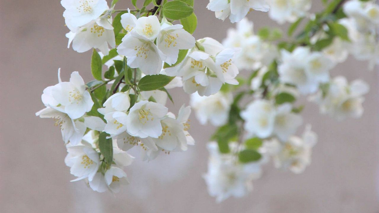 Ha llegado abril con su luz y su calma
