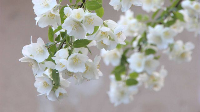 Ha llegado abril con su luz y su calma