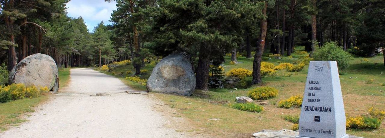 Foto: Ayuntamiento de Cercedilla