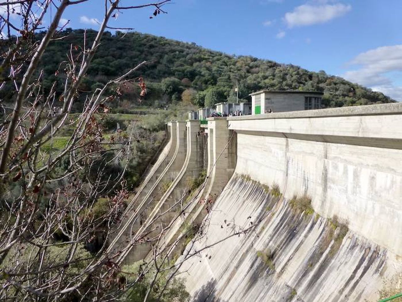 Foto: Paconi en Wikipedia