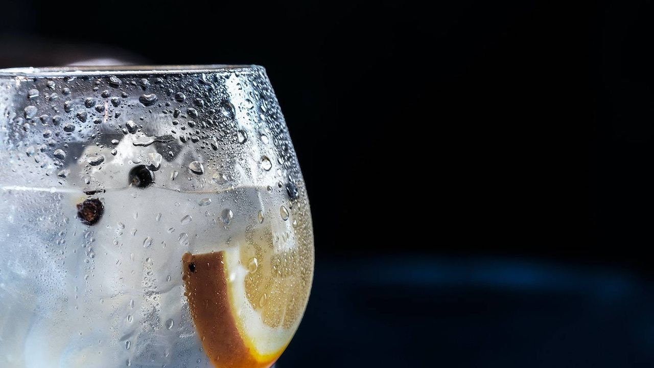 Dónde preparan los mejores gin tonics en Madrid