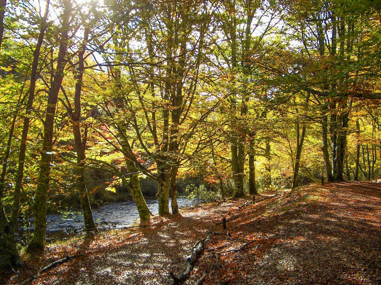 Foto: Jarmad78 en Wikipedia