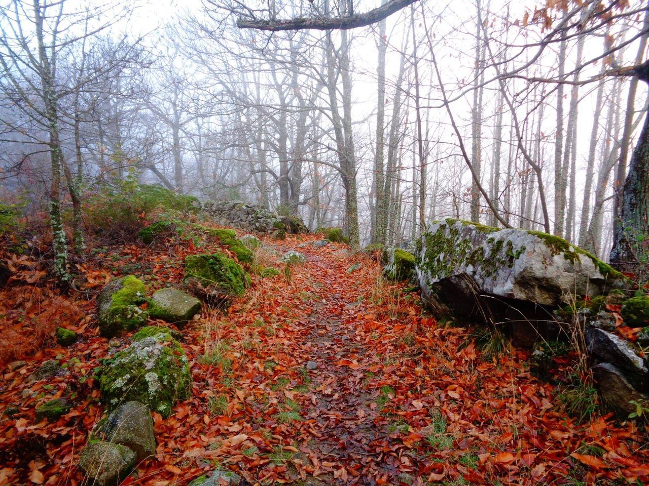 Foto: papepas en Wikiloc