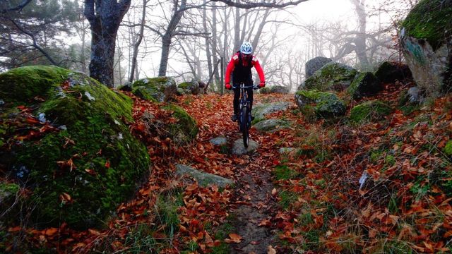 Lugares para perderse este otoño en Madrid
