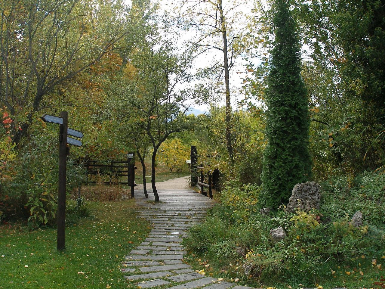 Foto: Equipo educativo del Centro en Wikipedia