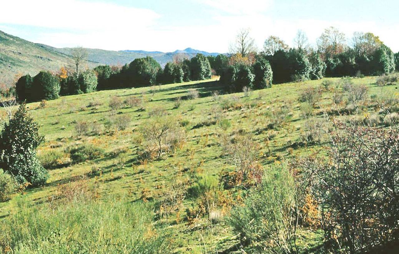 Foto: LBM1948 en Wikipedia