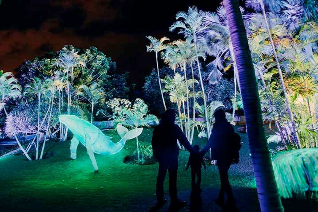 En el Real Jardín Botánico podrás sumergirte en un océano de luz. Foto: Planletsgo