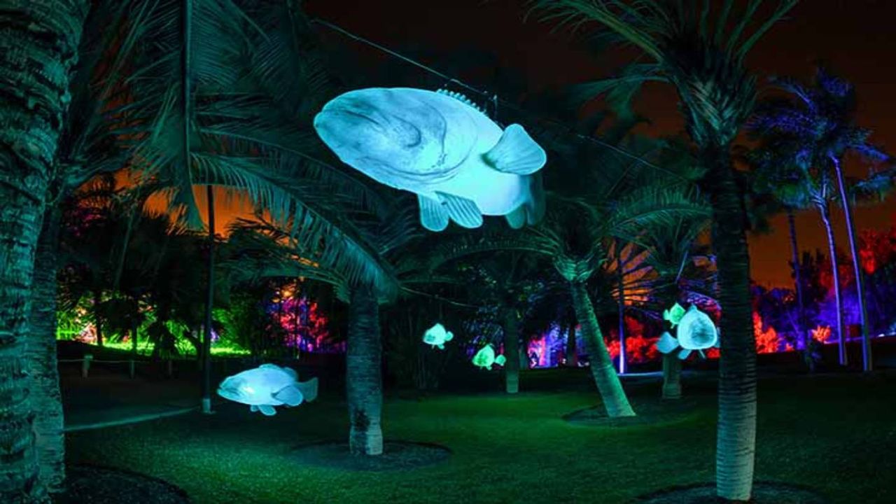 Explorium: El Jardín Botánico será un océano de luz en esta Navidad