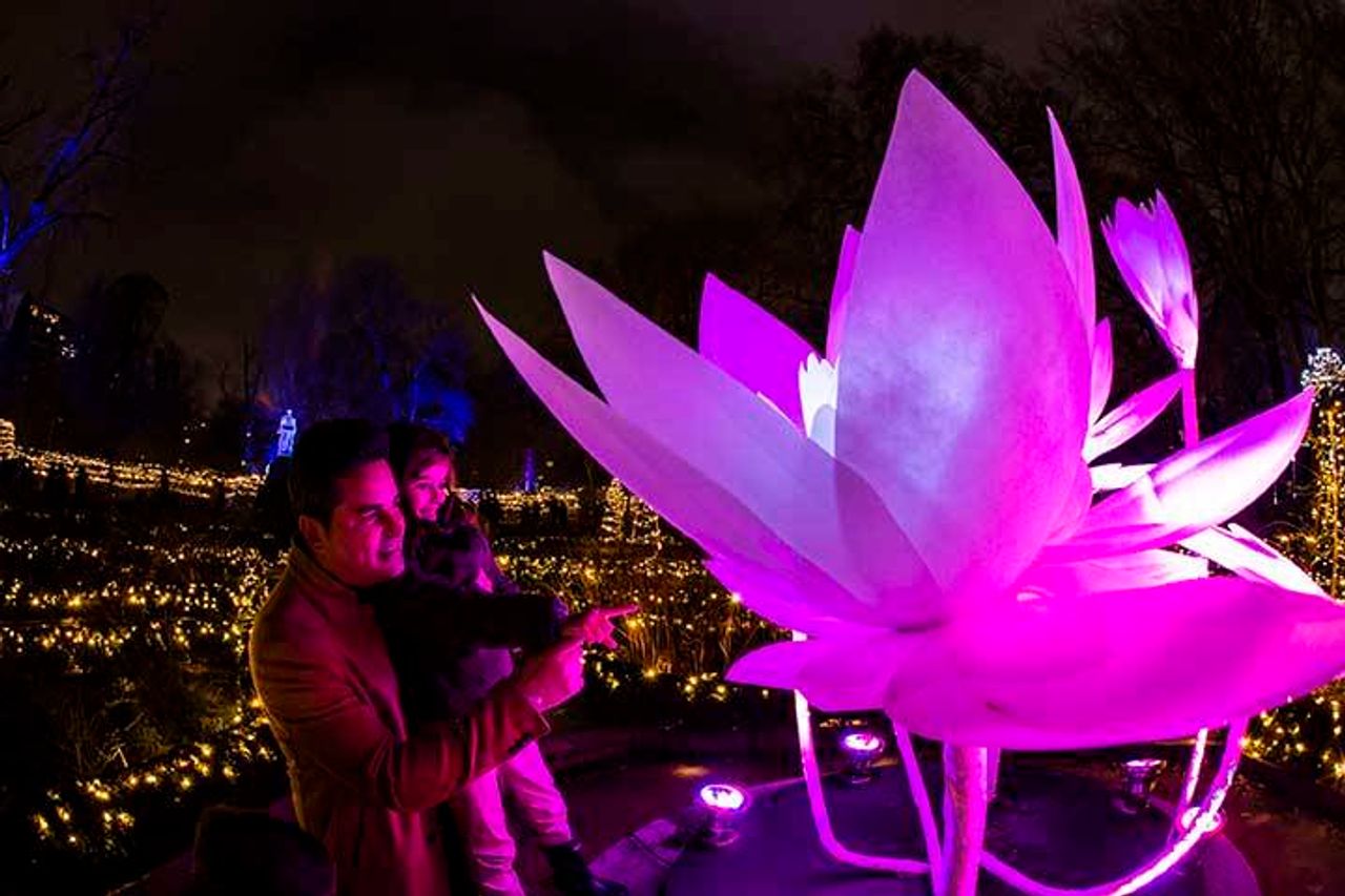 Naturaleza Encendida, EXPLORIUM. Foto: Lighuen Desanto