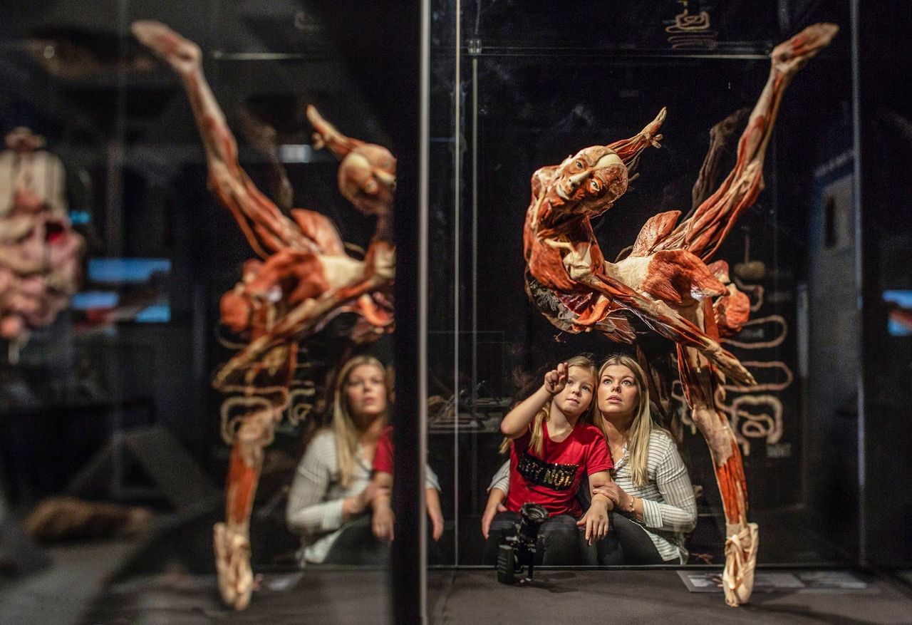 Visitantes apreciando esta interesante exposición. Foto: Body Worlds Madrid