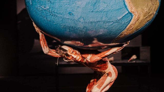 Aún hay oportunidad de ver Body Worlds, una exposición para ampliar los sentidos