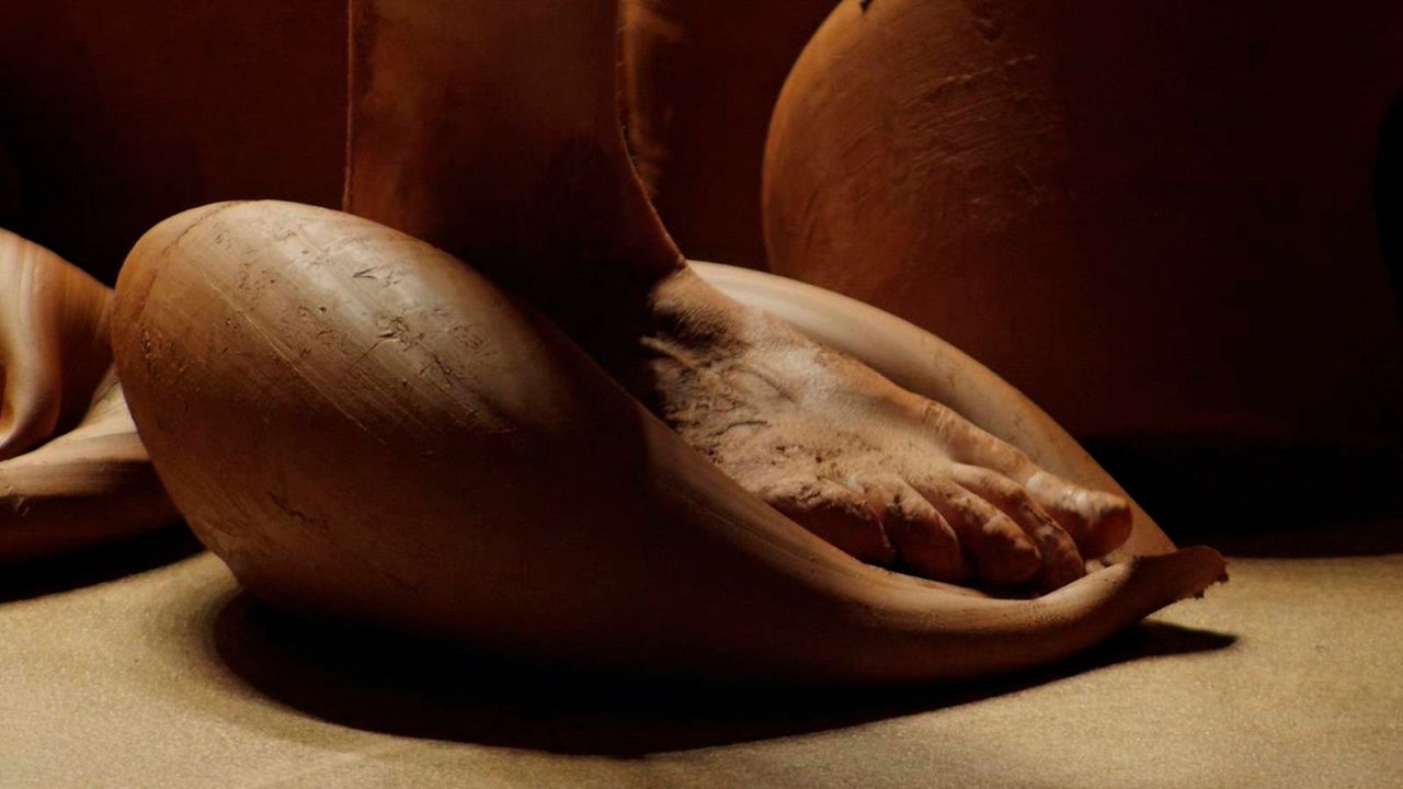 En la Casa de México se puede ver Raíz y Rizoma de la Colección Otazu