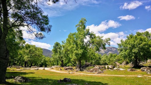 ¿Dónde hacer un picnic en Madrid?
