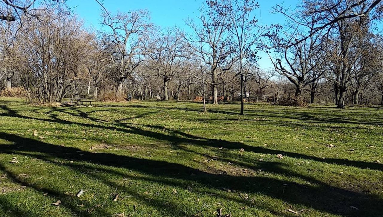 Foto: Area Recreativa El Escorial