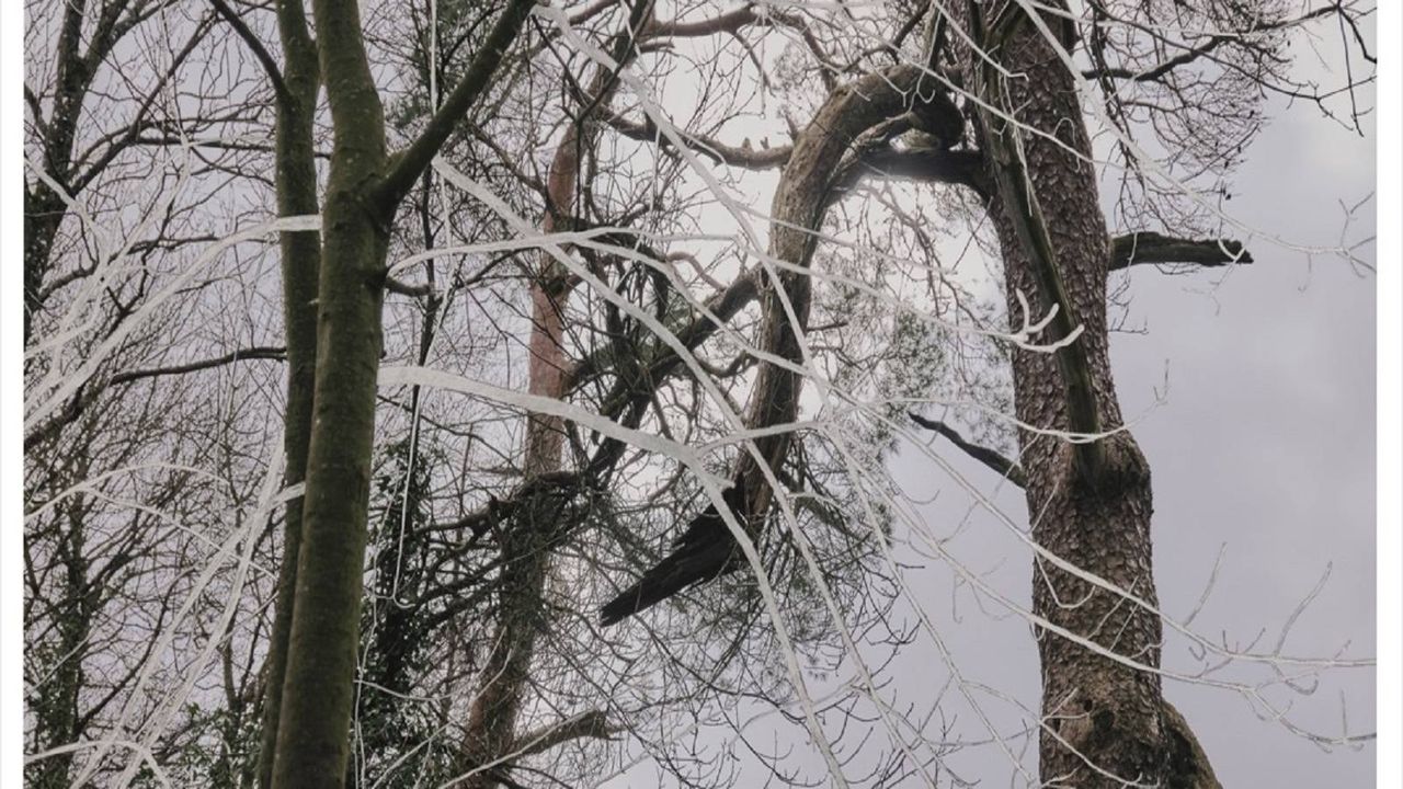 Exposición «Universo escondido» del fotógrafo mexicano Adrián Burns