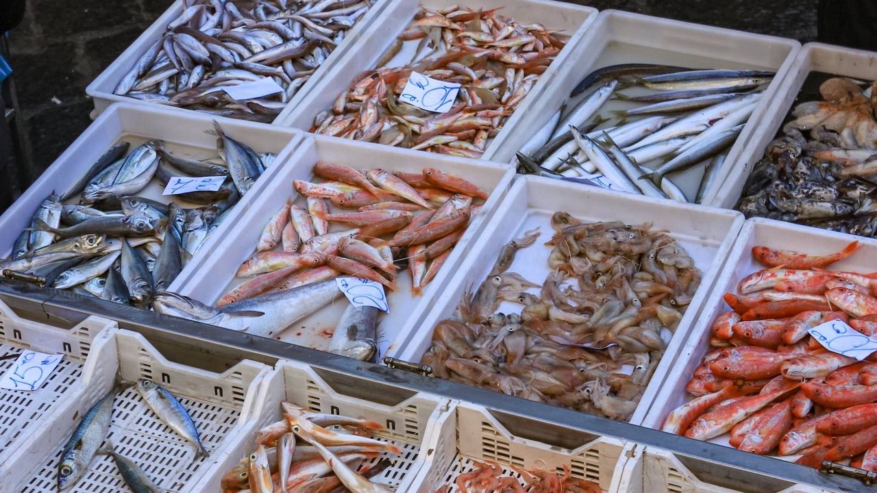 ¿Dónde comprar pescado y marisco de calidad en Madrid?