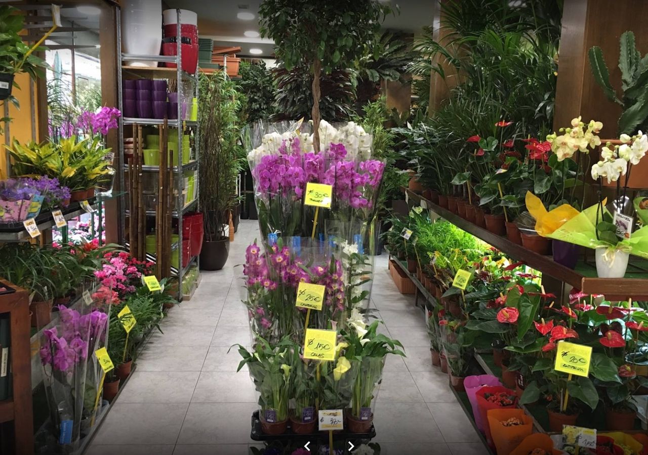 Foto: El Jardín de la Abuela