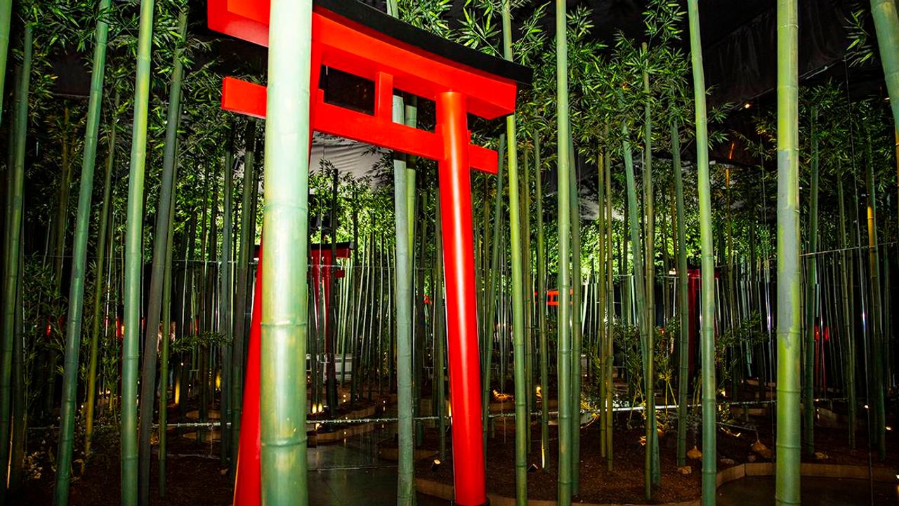 Ikono. Foto: Mikel Masa