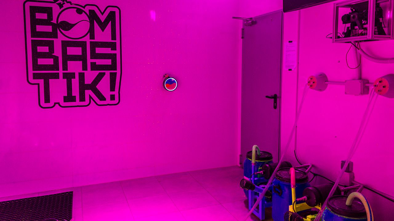 Bombastik y su explosión de color