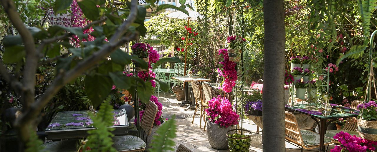 Terraza del Jardín Secreto de Salvador Bachiller. Foto: Salvador Bachiller