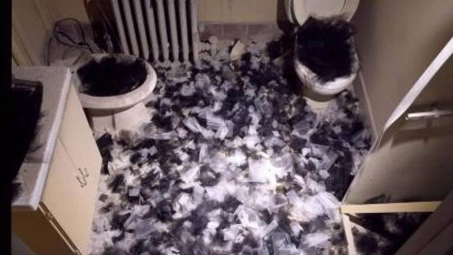 Elena del Rivero. El archivo del polvo