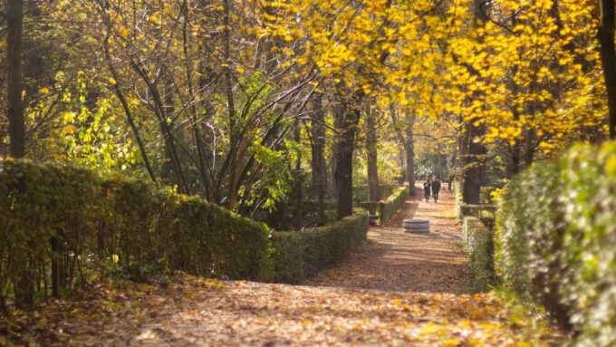 Rutas de senderismo otoñal en Madrid