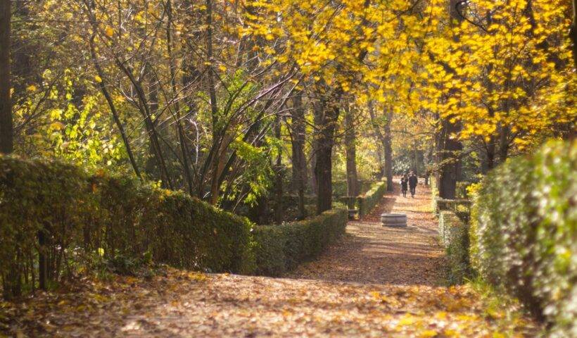 Rutas de senderismo otoñales en Madrid